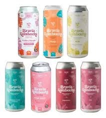 BRAVIA KOMBUCHA VARIOS SABORES