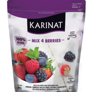 KARINAT YOGURT HELADO CHOCO