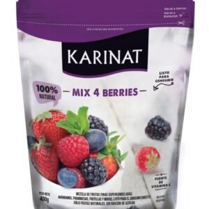 KARINAT YOGURT HELADO CHOCO